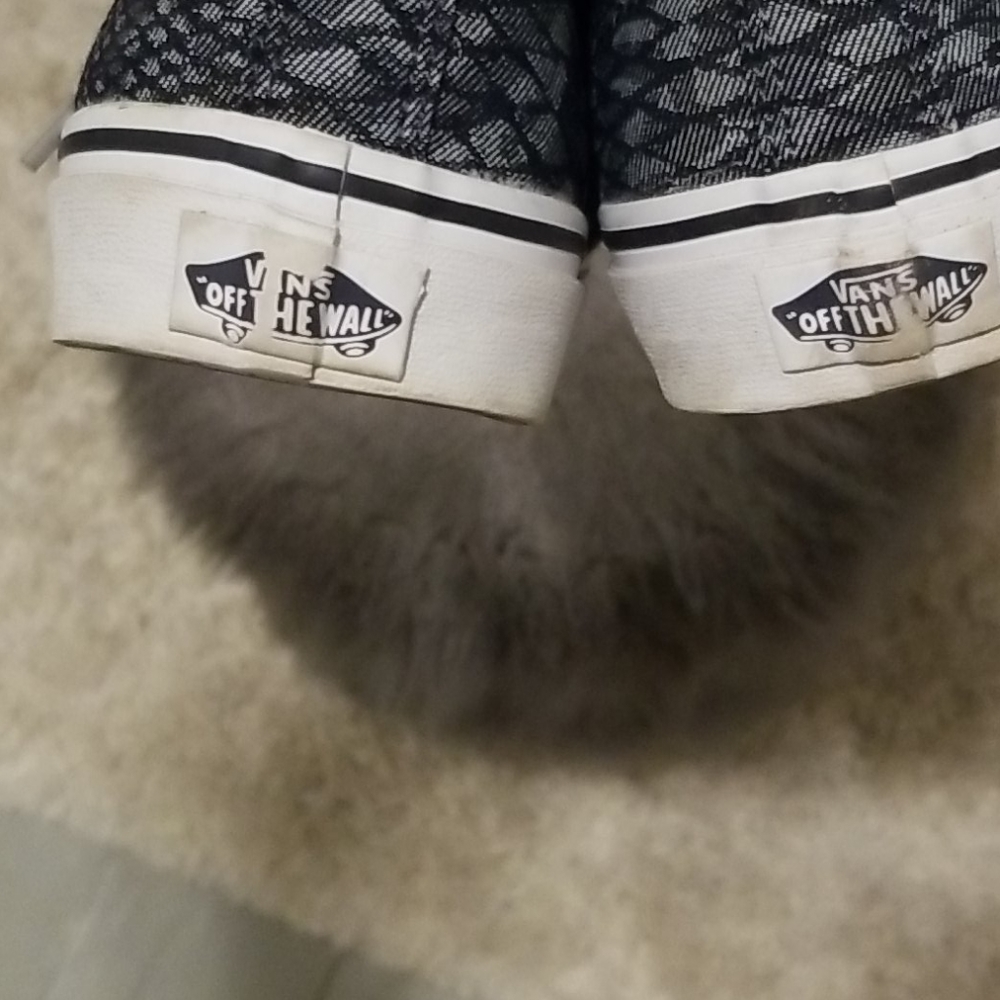Vans - Picture 3 of 4